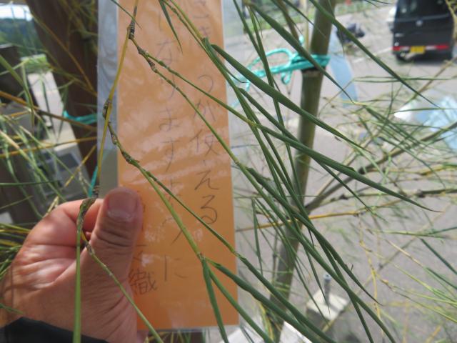 f:id:mannenNA:20200706200411j:plain f:id:mannenNA:20200706200411j:plain