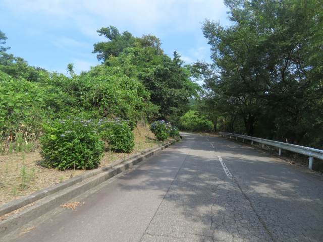 f:id:mannenNA:20200706200928j:plain f:id:mannenNA:20200706200928j:plain