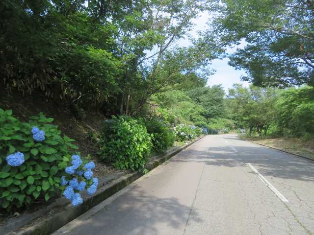 f:id:mannenNA:20200706200945j:plain f:id:mannenNA:20200706200945j:plain