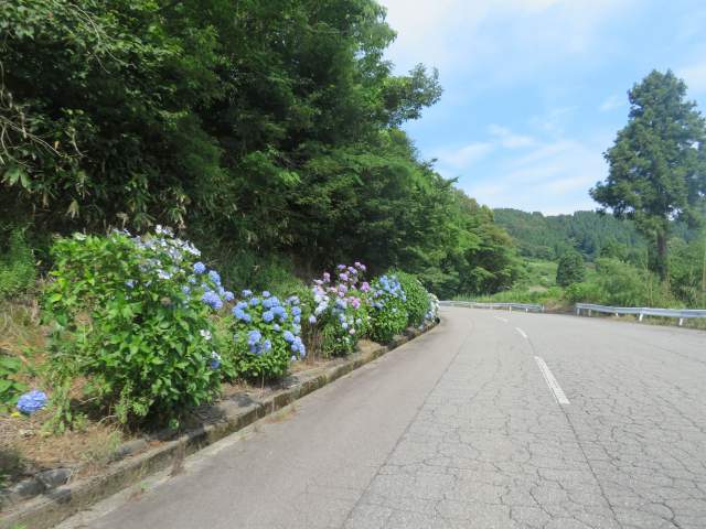 f:id:mannenNA:20200706201002j:plain f:id:mannenNA:20200706201002j:plain