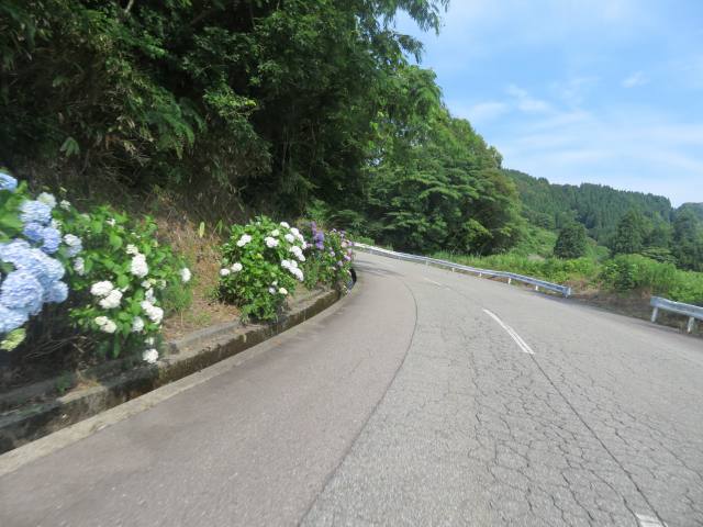 f:id:mannenNA:20200706201020j:plain f:id:mannenNA:20200706201020j:plain