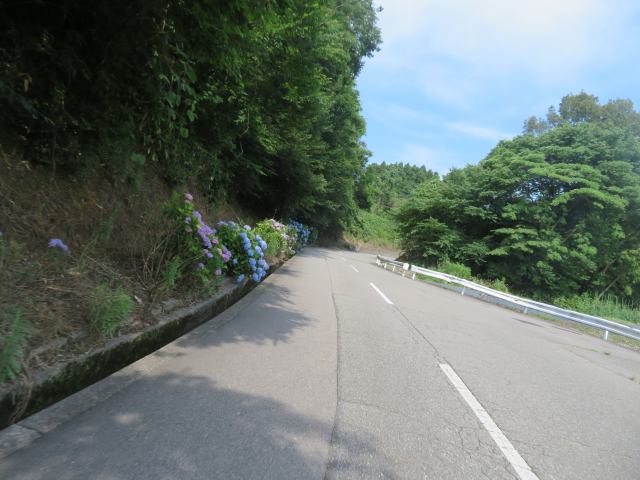 f:id:mannenNA:20200706201036j:plain f:id:mannenNA:20200706201036j:plain