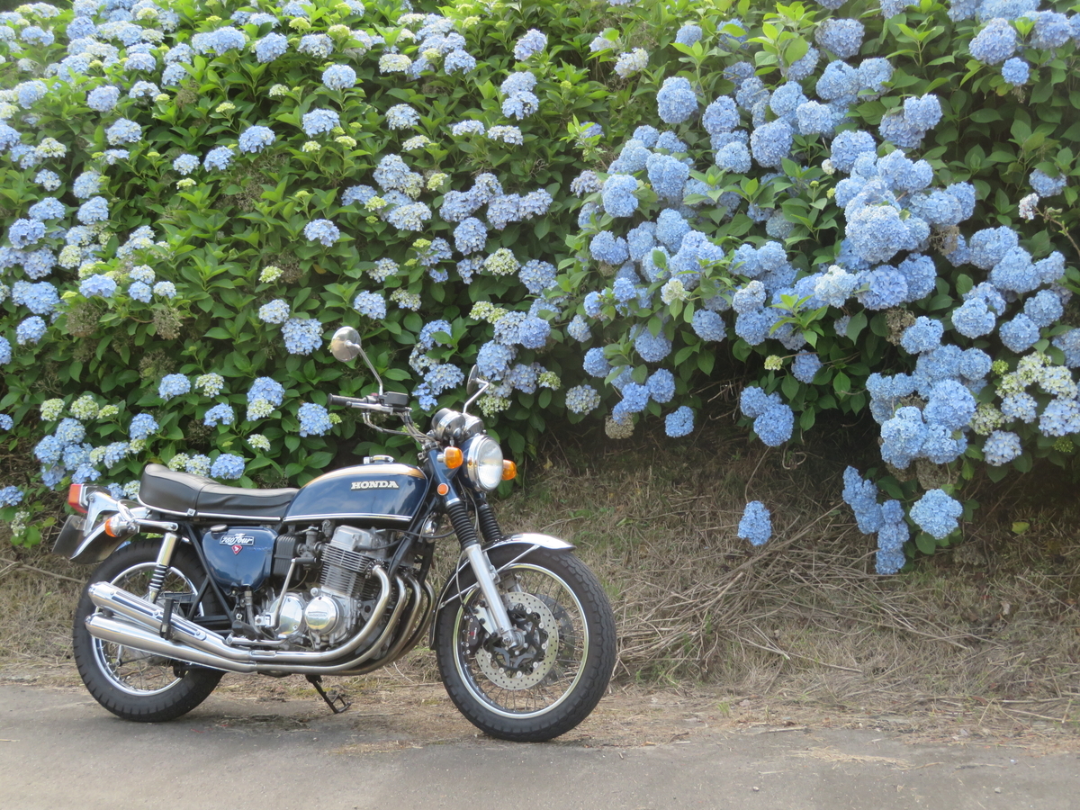 f:id:mannenNA:20200706201219j:plain f:id:mannenNA:20200706201219j:plain