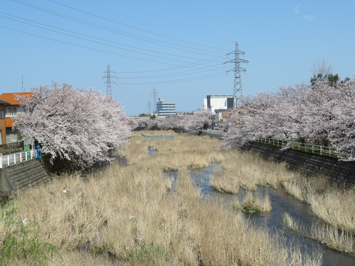 f:id:mannenNA:20200707194921j:plain