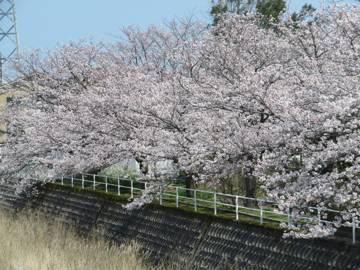 f:id:mannenNA:20200707194953j:plain