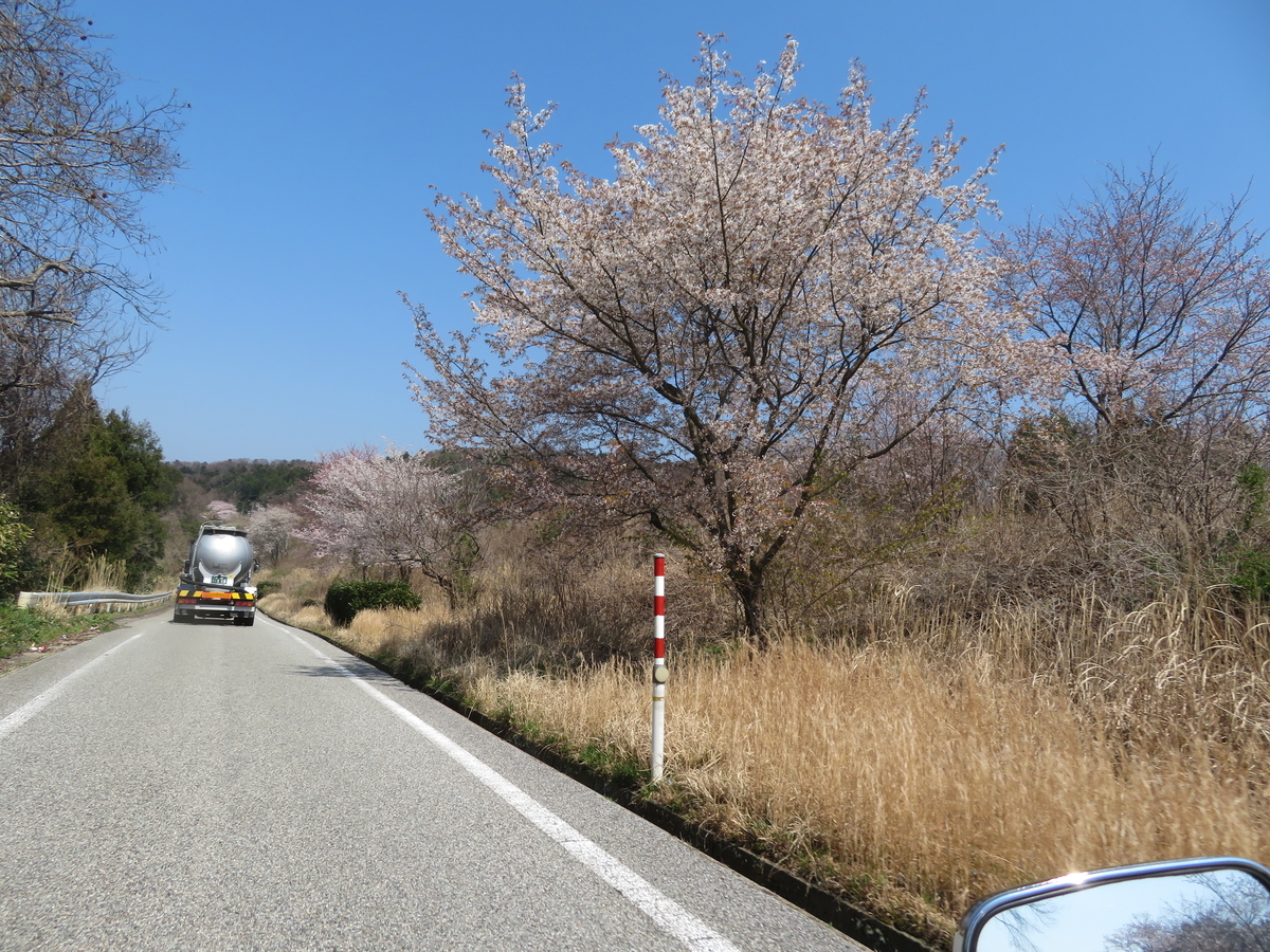 f:id:mannenNA:20200707195237j:plain