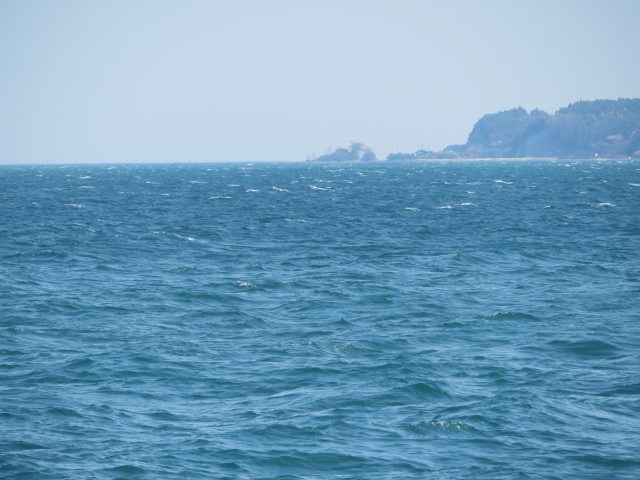 f:id:mannenNA:20200708205503j:plain f:id:mannenNA:20200708205503j:plain