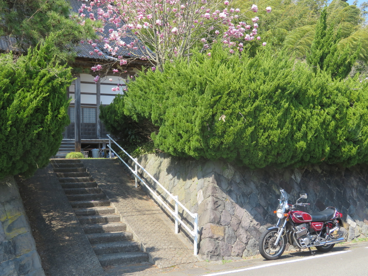 f:id:mannenNA:20200708205735j:plain f:id:mannenNA:20200708205735j:plain