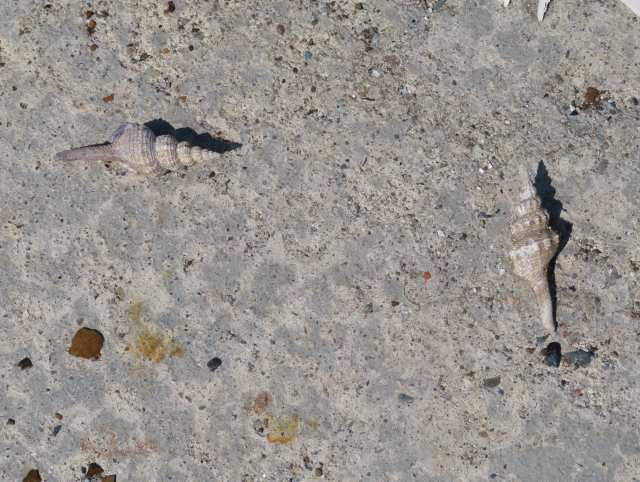 f:id:mannenNA:20200709202115j:plain