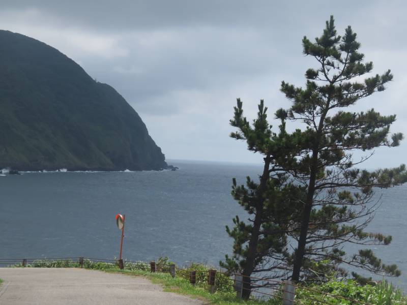 f:id:mannenNA:20200717200841j:plain f:id:mannenNA:20200717200841j:plain