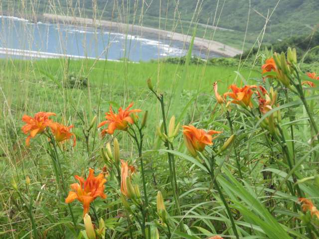 f:id:mannenNA:20200717201010j:plain f:id:mannenNA:20200717201010j:plain