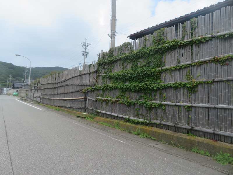 f:id:mannenNA:20200720202938j:plain f:id:mannenNA:20200720202938j:plain