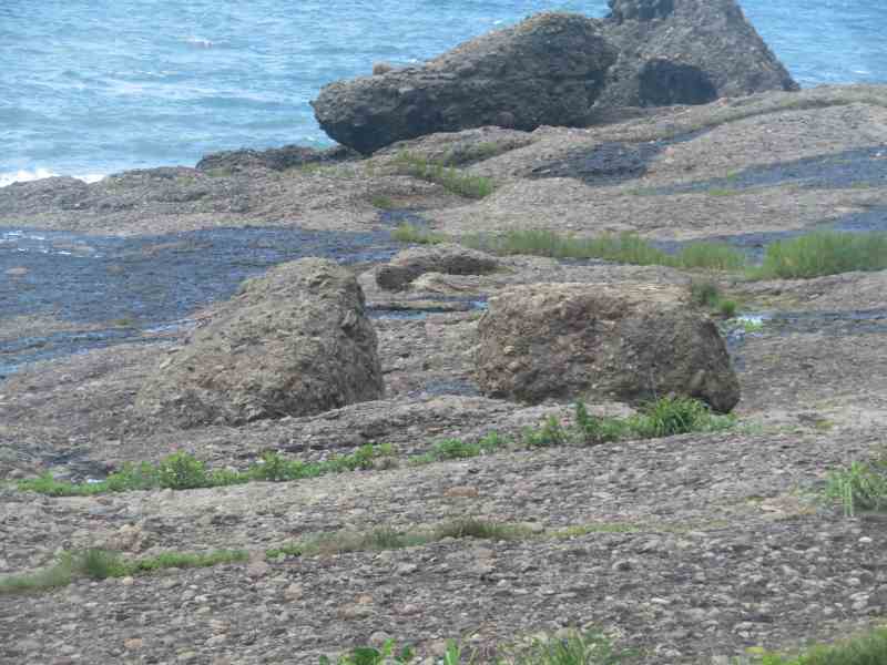 f:id:mannenNA:20200720203130j:plain f:id:mannenNA:20200720203130j:plain