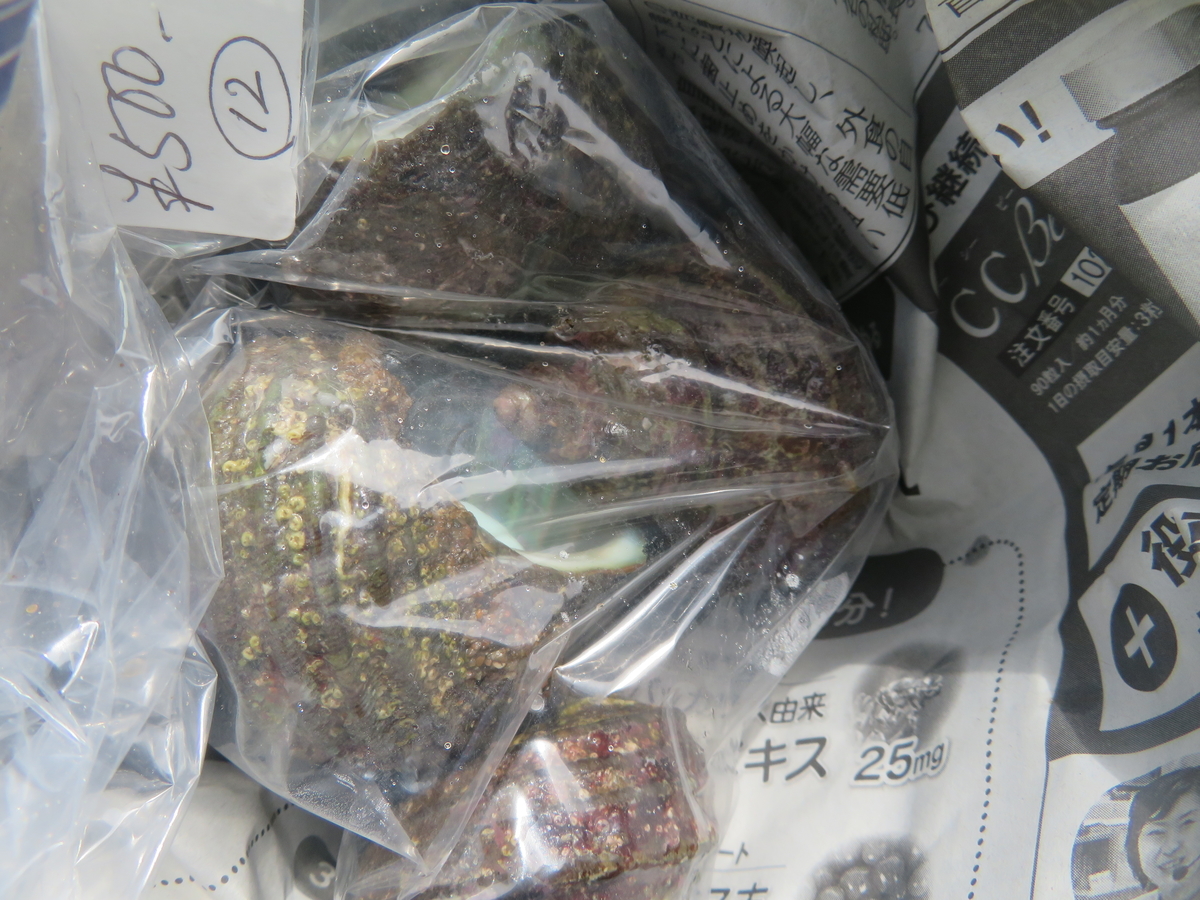 f:id:mannenNA:20200720203219j:plain f:id:mannenNA:20200720203219j:plain