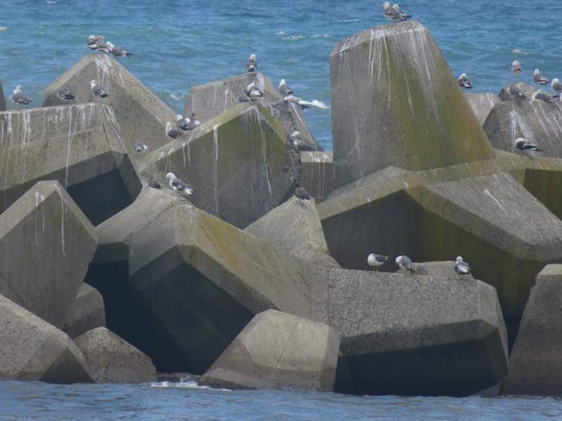 f:id:mannenNA:20200727193510j:plain