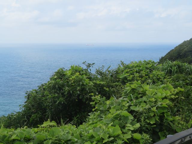 f:id:mannenNA:20200727194519j:plain