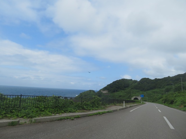 f:id:mannenNA:20200727194703j:plain