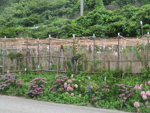 f:id:mannenNA:20200727194757j:plain