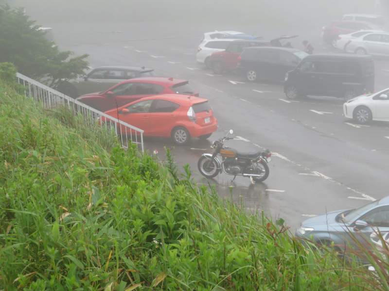 f:id:mannenNA:20200730183353j:plain f:id:mannenNA:20200730183353j:plain