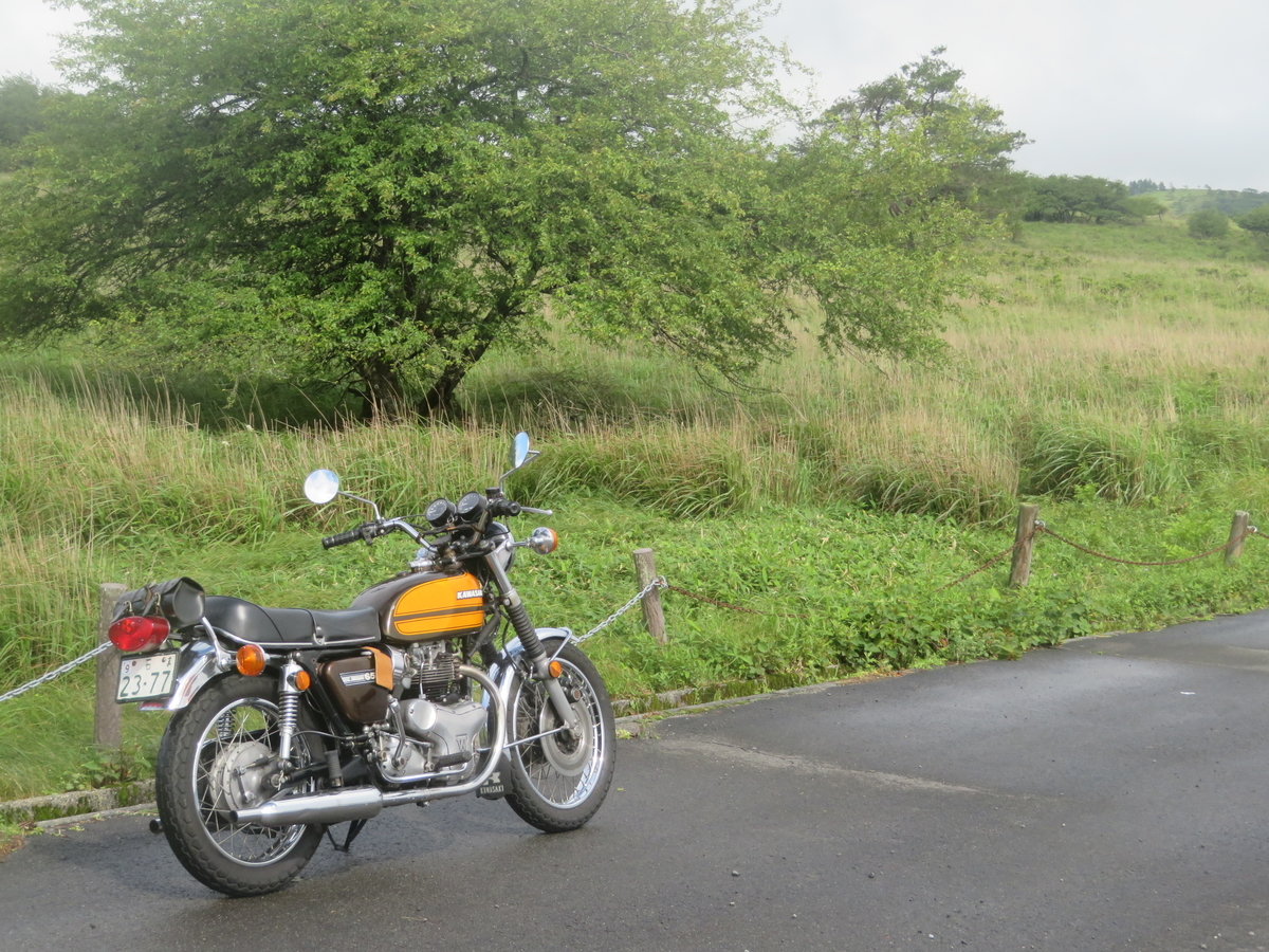 f:id:mannenNA:20200803201646j:plain