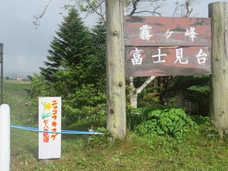 f:id:mannenNA:20200803201953j:plain