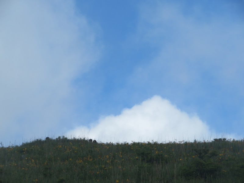 f:id:mannenNA:20200803202044j:plain