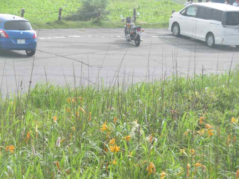 f:id:mannenNA:20200803202137j:plain