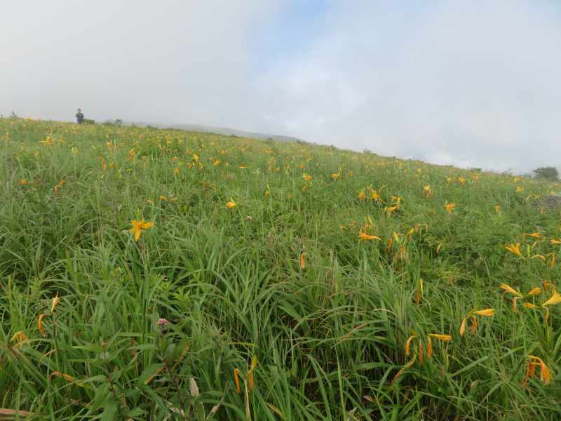 f:id:mannenNA:20200803202236j:plain