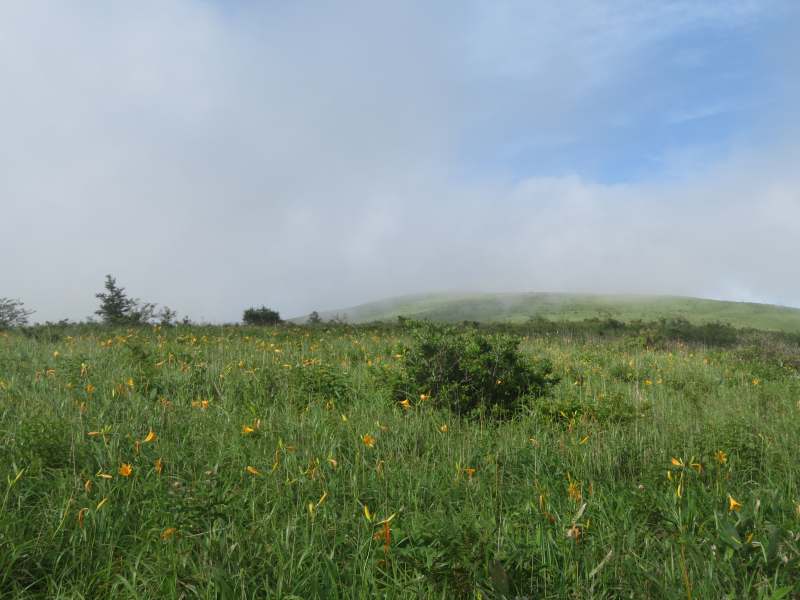 f:id:mannenNA:20200803202318j:plain