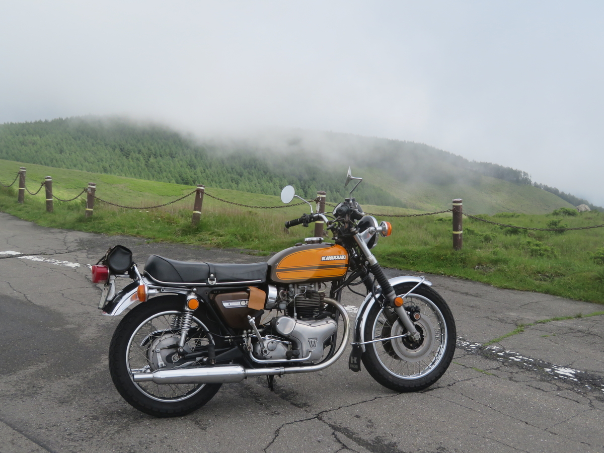 f:id:mannenNA:20200803204655j:plain