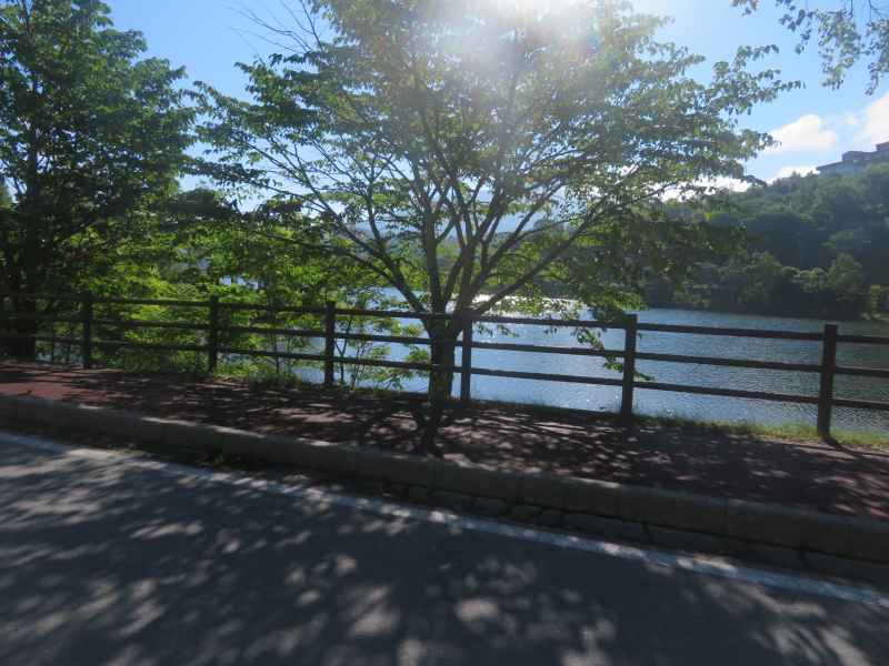 f:id:mannenNA:20200804195519j:plain