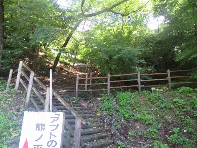 f:id:mannenNA:20200804200252j:plain