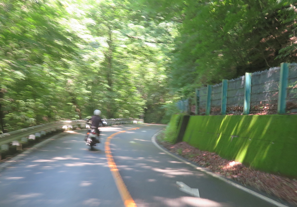 f:id:mannenNA:20200805205722j:plain