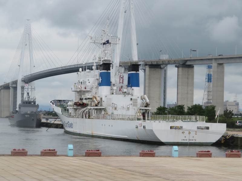 f:id:mannenNA:20200813102824j:plain