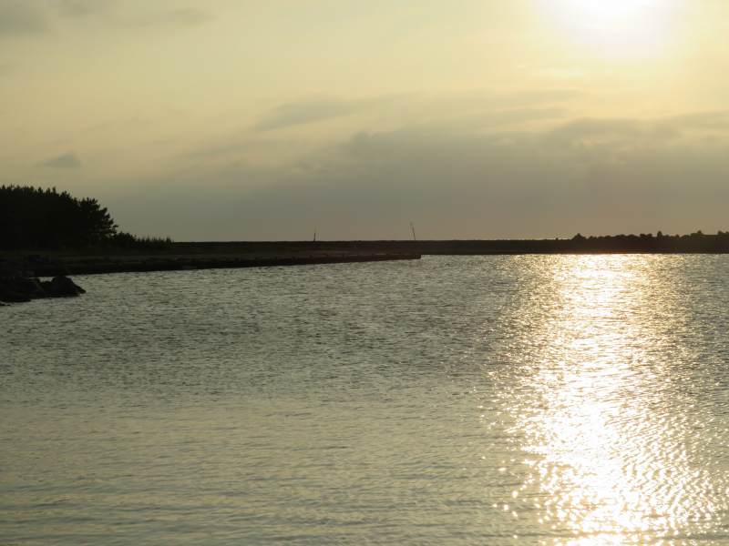 f:id:mannenNA:20200822211844j:plain f:id:mannenNA:20200822211844j:plain