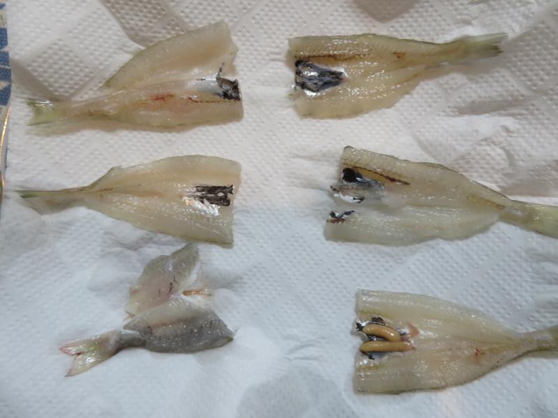 f:id:mannenNA:20200822212143j:plain f:id:mannenNA:20200822212143j:plain