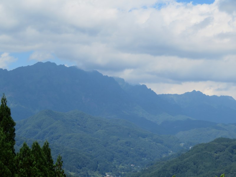 f:id:mannenNA:20200831204231j:plain f:id:mannenNA:20200831204231j:plain