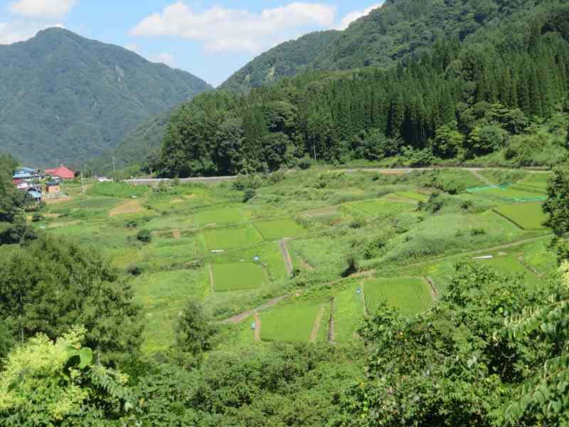 f:id:mannenNA:20200831204318j:plain f:id:mannenNA:20200831204318j:plain