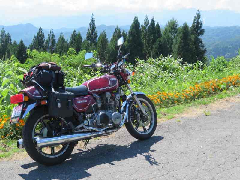 f:id:mannenNA:20200831204430j:plain f:id:mannenNA:20200831204430j:plain