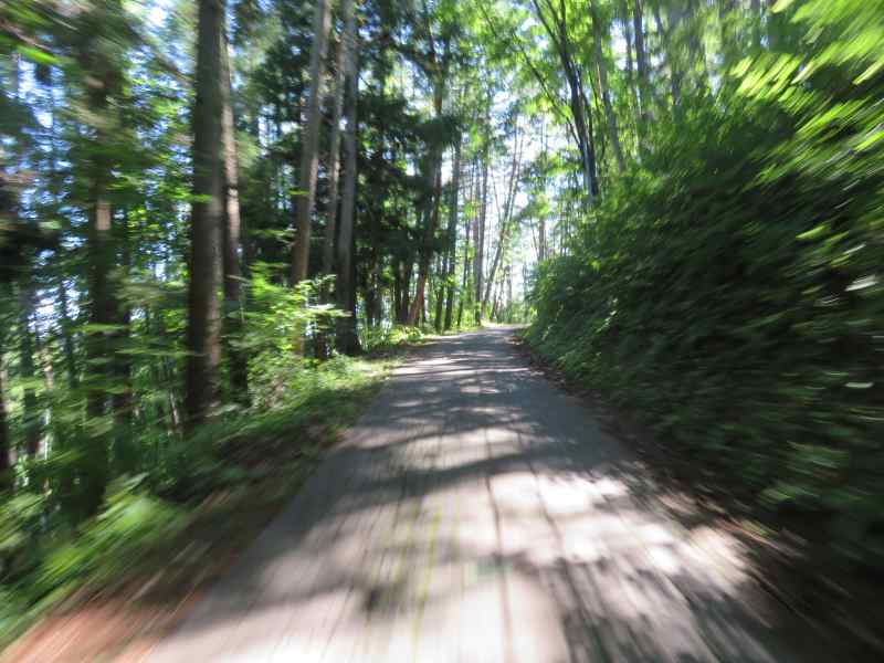 f:id:mannenNA:20200831205456j:plain f:id:mannenNA:20200831205456j:plain