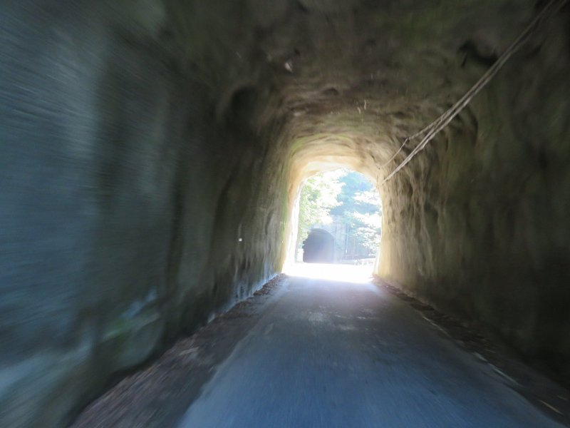 f:id:mannenNA:20200904184205j:plain f:id:mannenNA:20200904184205j:plain