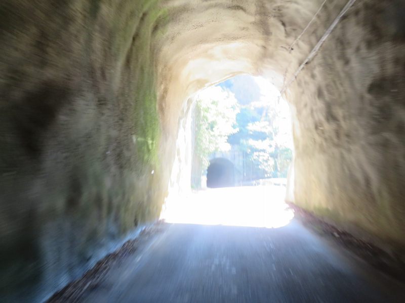 f:id:mannenNA:20200904184219j:plain f:id:mannenNA:20200904184219j:plain