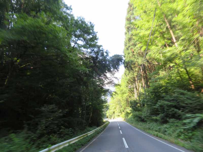 f:id:mannenNA:20200904184336j:plain f:id:mannenNA:20200904184336j:plain