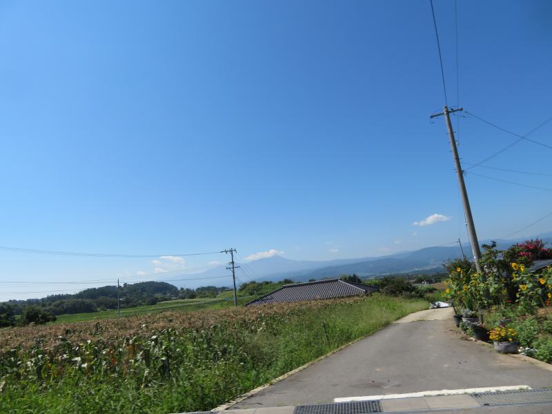 f:id:mannenNA:20200904184738j:plain f:id:mannenNA:20200904184738j:plain