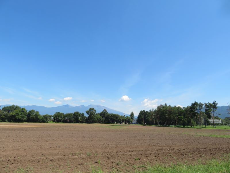 f:id:mannenNA:20200904185054j:plain f:id:mannenNA:20200904185054j:plain