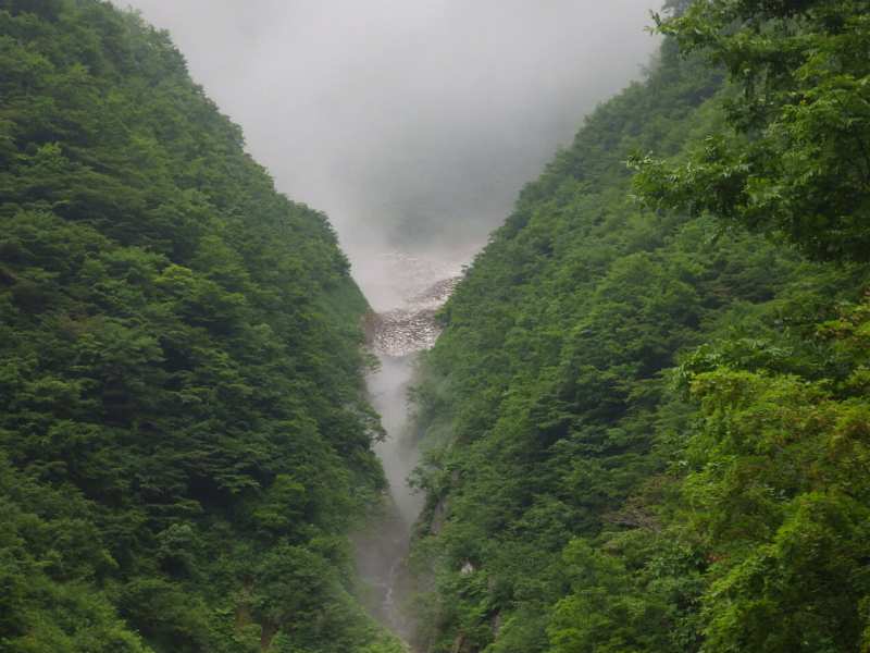 f:id:mannenNA:20200907214237j:plain f:id:mannenNA:20200907214237j:plain