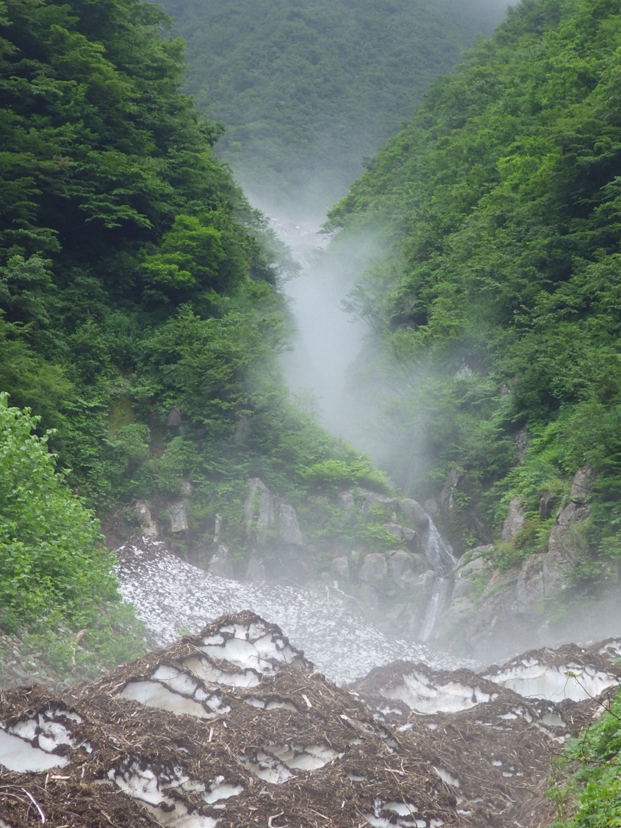 f:id:mannenNA:20200907214355j:plain f:id:mannenNA:20200907214355j:plain