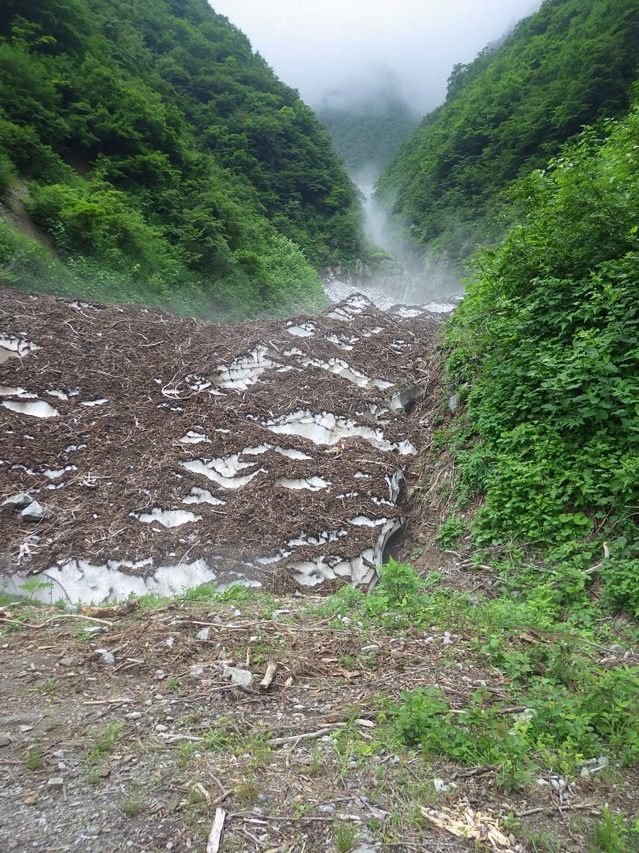 f:id:mannenNA:20200907214543j:plain f:id:mannenNA:20200907214543j:plain