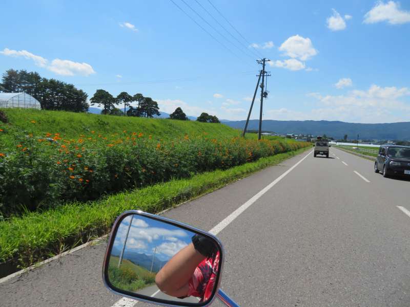 f:id:mannenNA:20200909202826j:plain f:id:mannenNA:20200909202826j:plain