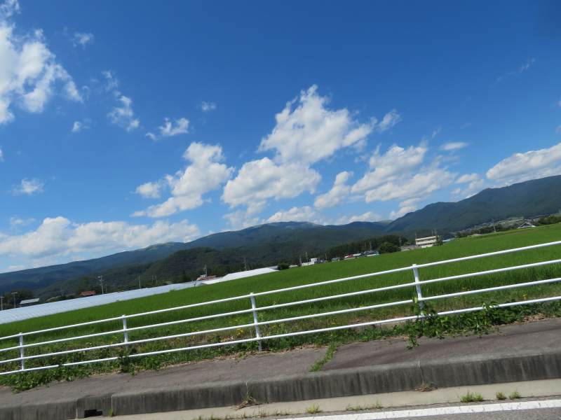 f:id:mannenNA:20200909202839j:plain f:id:mannenNA:20200909202839j:plain